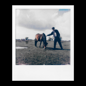 if i knew what to do (i'd do it)