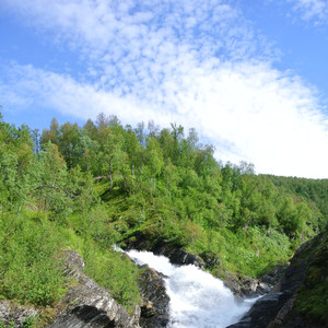 꽃밭에서 (오르골 자장가)