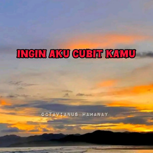 INGIN AKU CUBIT KAMU