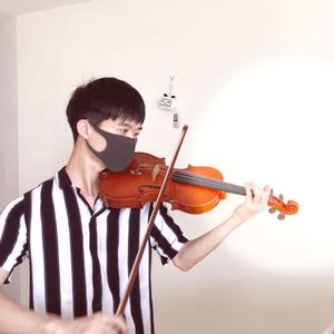 植物大战僵尸（翻自 pvz）