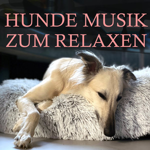 Schlafmelodie für den Hund (Mit weiblicher, beruhigender Stimme)