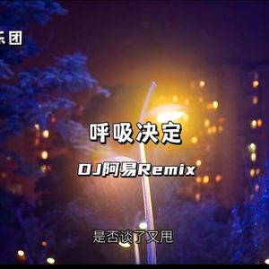 Fine乐团 - 呼吸决定 （DJ阿易Remix）