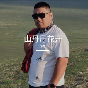 山丹丹花开