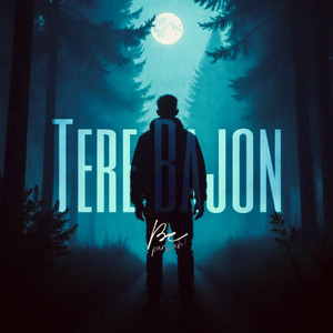 Tere Bajon