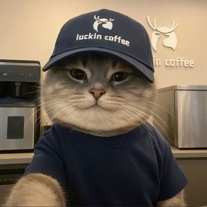 喜欢你的那张旧照片