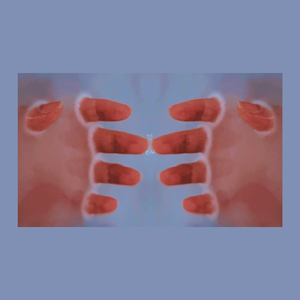 You'll Never See Me Again