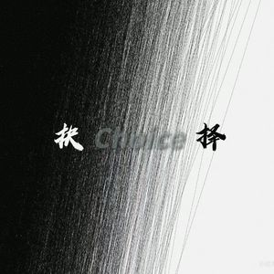 choice（prod.caspr）