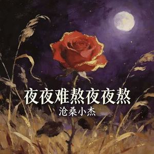 夜夜难熬夜夜熬(玫瑰怎会爱上野草)