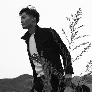 情深深雨濛濛（古筝与吉他）（翻自 赵薇）