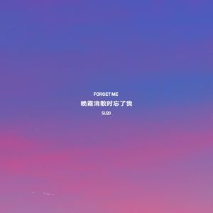 晚霞消散时忘了我 伴奏