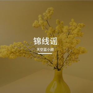 清风明月我