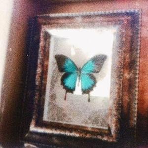 毒物欲（Prod By Meecro）