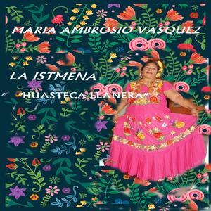 Huasteca Llanera