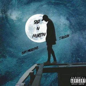 Sad N Hurtin (feat. Luh Meekins)