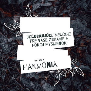 Inštrumentálne klavír