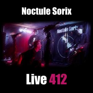 Agonie (Final Way...) (live 412)