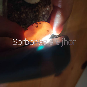 Sorbonas a e jhor