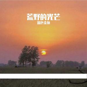 霓虹碎裂在午夜街头