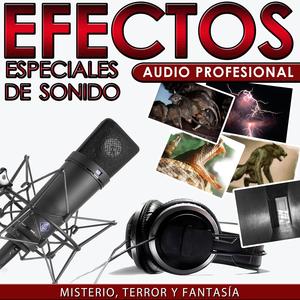 Vibraciones Metálicas