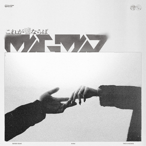 これが嘘ならば