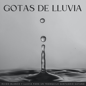 Serenata Lluviosa Para Gatos