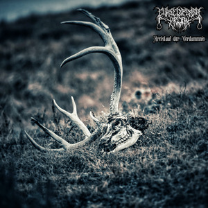 1. Birth (Aufbruchsstimmung)