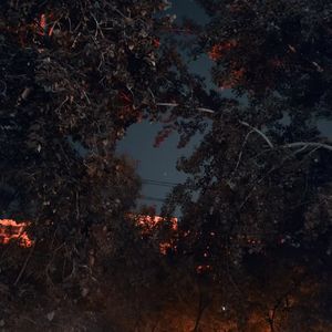 The wind dispersed my pain