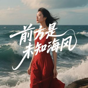 前方是未知海风