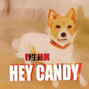 Hey Candy