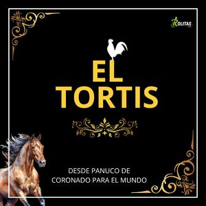 El Tortis