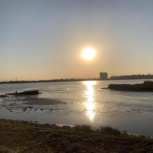 ce97af3463f63ebd836a648ed0929c0b