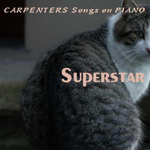 スーパースター