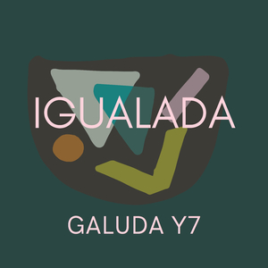 Igualada