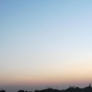 总在四下无人的夜里想起你（温柔版）（翻自 如懿）