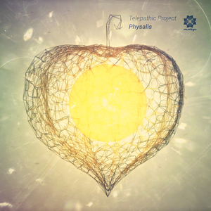 Physalis (Original Mix)