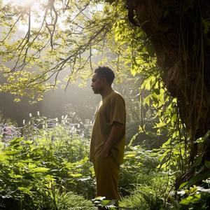 Louise's Garden Blues