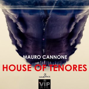 House of Tenores (Original mix)
