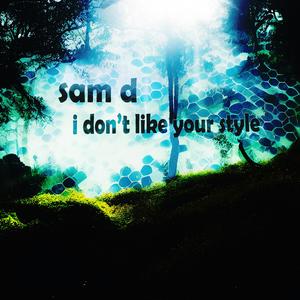 I Don't Like Your Style