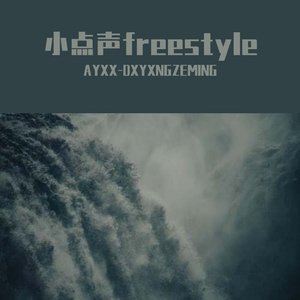 小点声freestyle