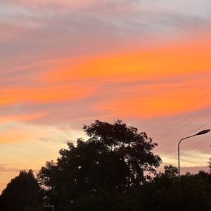 城北的花（副歌）