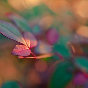 城楼（纯钢琴）