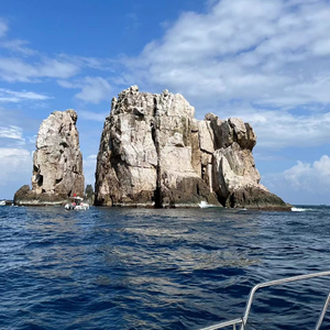 不回头的人-苏星婕