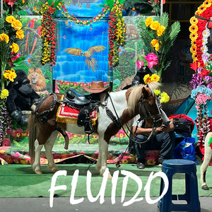 Fluido