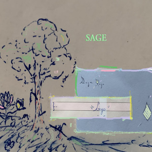 Sage