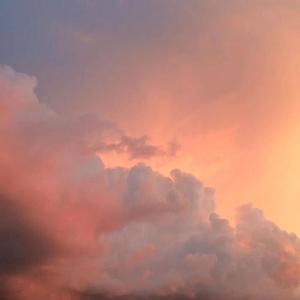 残酷月光(Cove;林宥嘉)