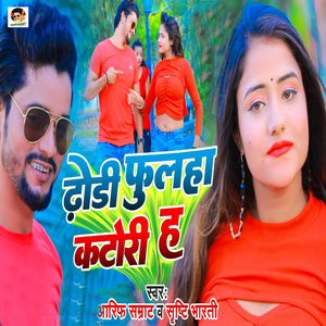 Dhodi Fulaha Katori Hai