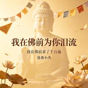 我在佛前为你泪流(我在佛前求了千百遍)