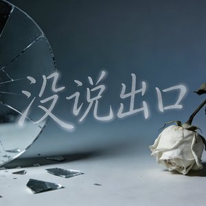没说出口