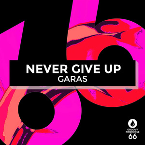 Never Give Up (Radio-Edit)