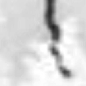 The Storm (aquoferne remix)